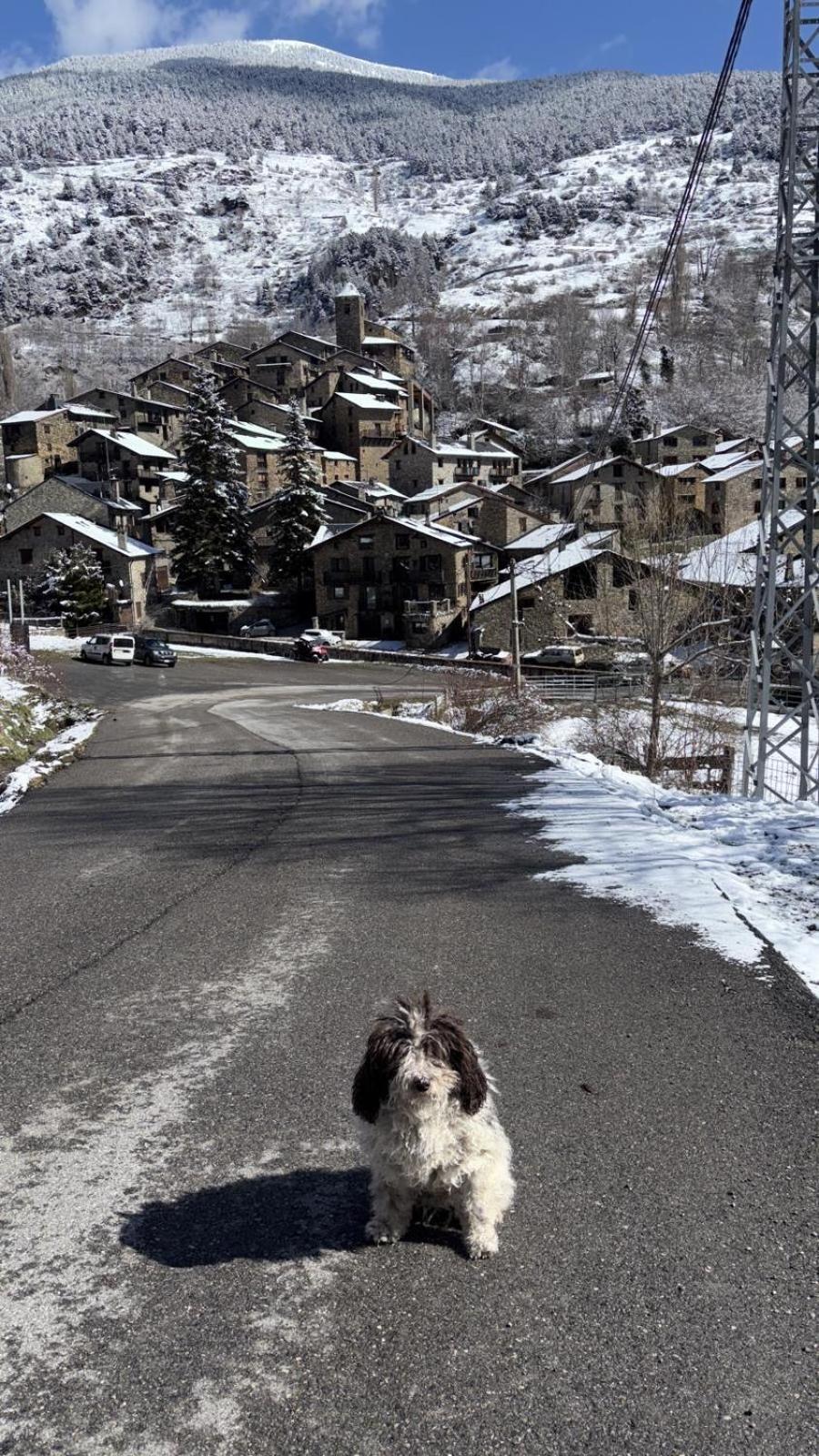 Hotel Valls Valira Os de Civís Esterno foto