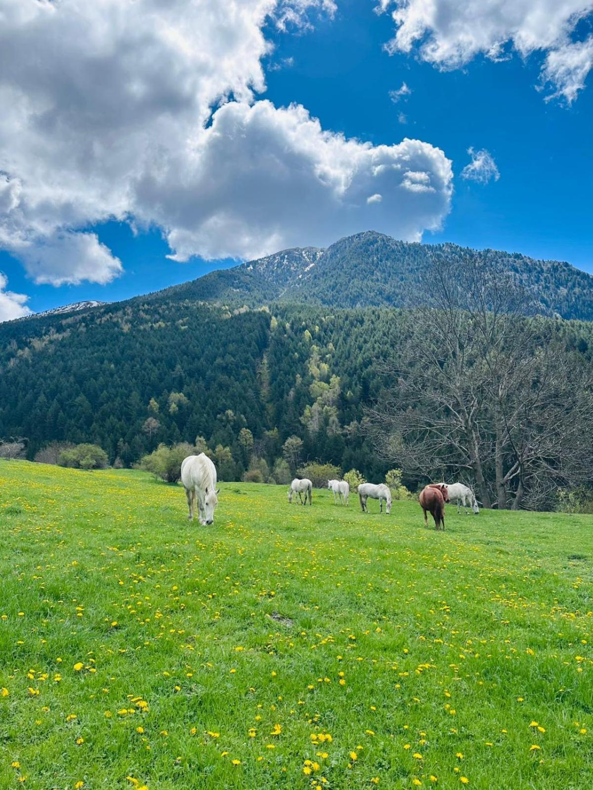 Hotel Valls Valira Os de Civís Esterno foto