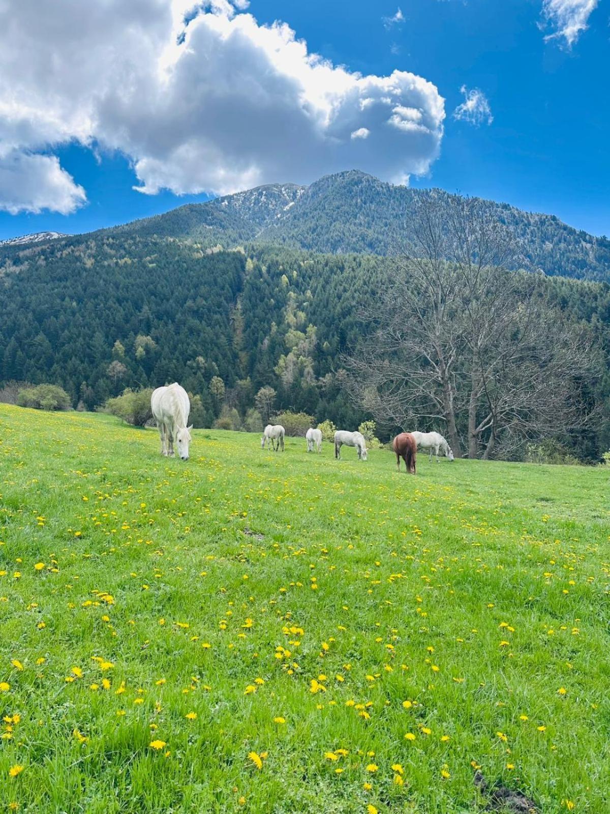 Hotel Valls Valira Os de Civís Esterno foto